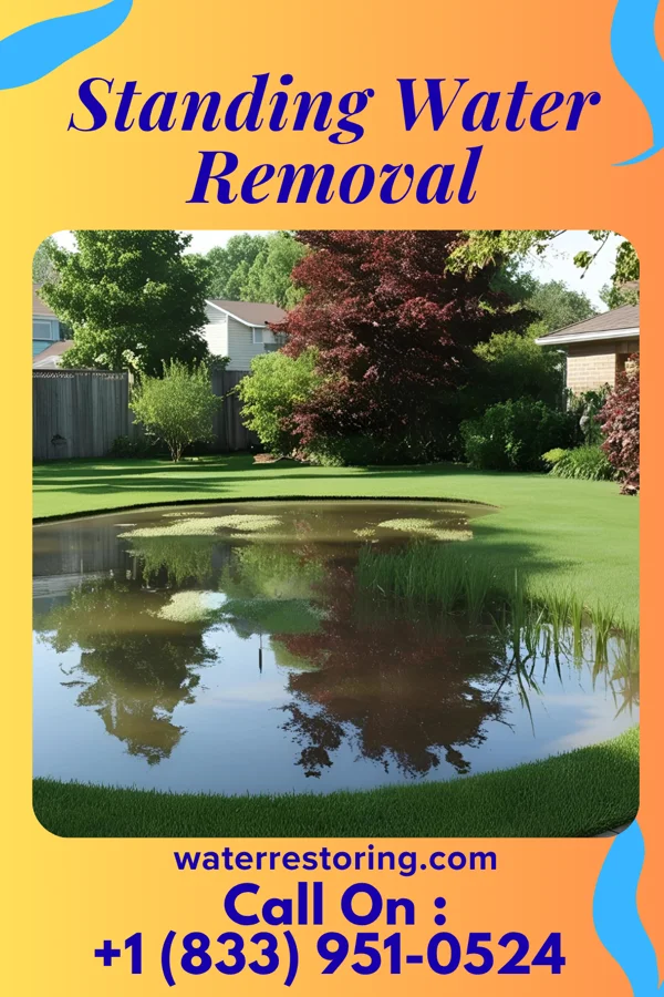 Standing Water Removal in Centre Hall, PA